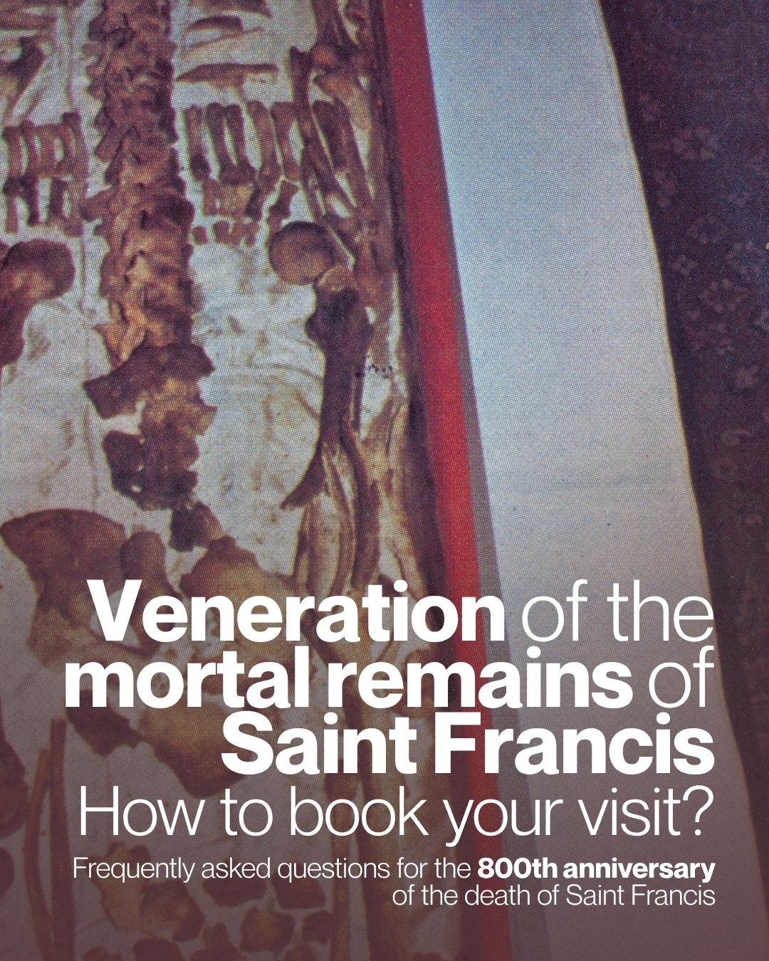 Veneration of the mortal remains of Saint Francis. How to book your visit?
